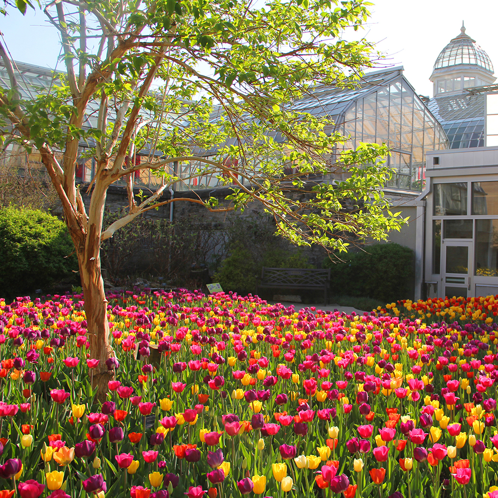 Franklin Park Conservatory